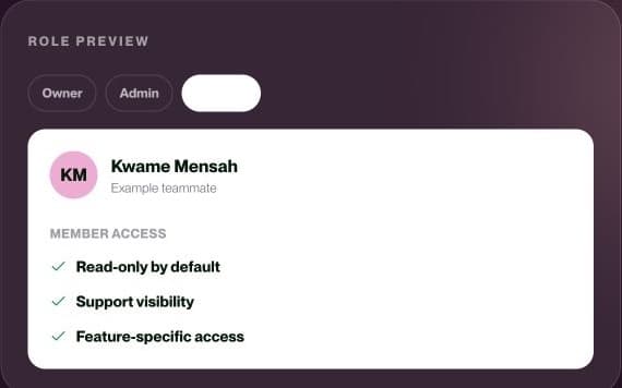 The SeevPlus role and team access preview.